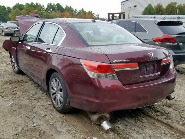 1HGCP3F86BA032134 - 2011 HONDA ACCORD EXL BURGUNDY photo 3