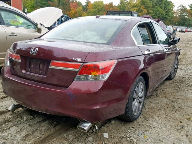 1HGCP3F86BA032134 - 2011 HONDA ACCORD EXL BURGUNDY photo 4