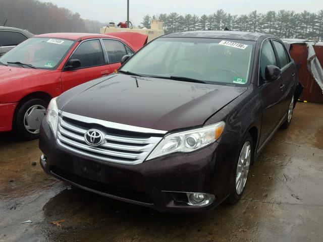 4T1BK3DB1BU380103 - 2011 TOYOTA AVALON BAS MAROON photo 2