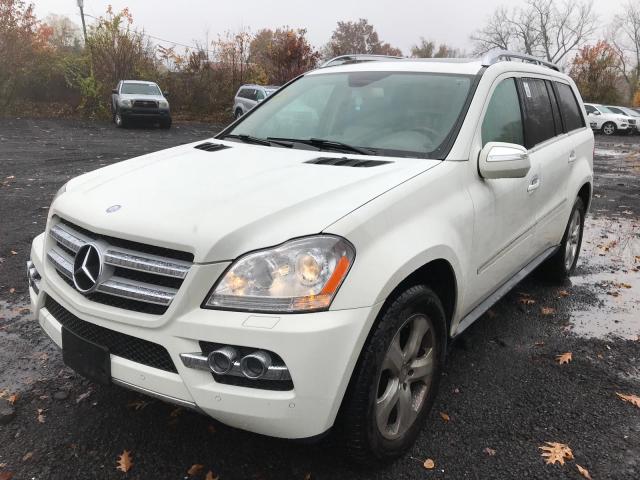 4JGBF7BE3AA589481 - 2010 MERCEDES-BENZ GL 450 4MA WHITE photo 2