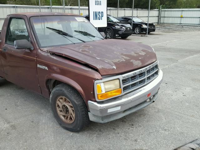 1B7FL26X5PS266050 - 1993 DODGE DAKOTA BROWN photo 9