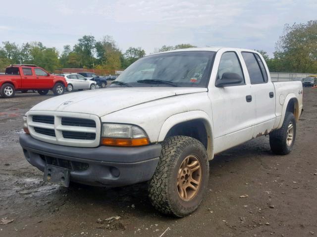 1D7HG38X73S377022 - 2003 DODGE DAKOTA QUA WHITE photo 2