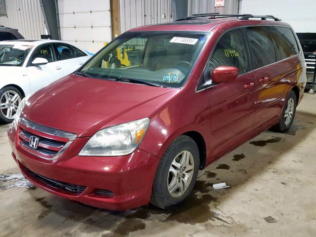 5FNRL38775B035449 - 2005 HONDA ODYSSEY EX MAROON photo 2