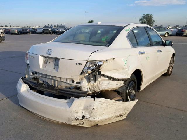 1HGCP36818A024399 - 2008 HONDA ACCORD EXL WHITE photo 4