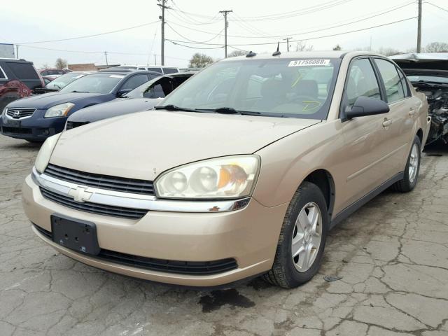 1G1ZT54874F156429 - 2004 CHEVROLET MALIBU LS 金色 照片 2