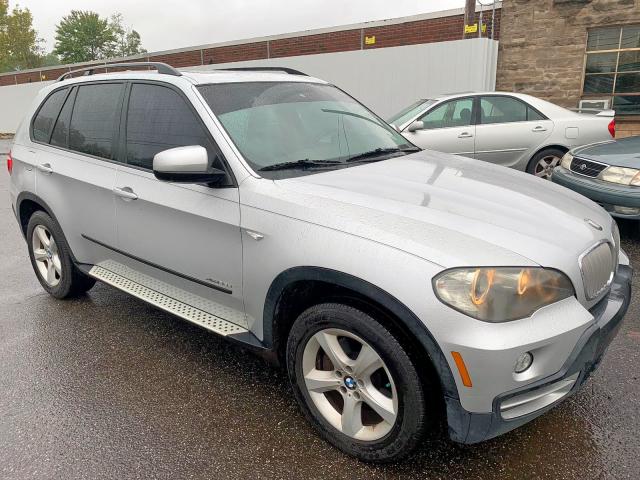 5UXFF03519LJ95486 - 2009 BMW X5 XDRIVE3 SILVER photo 1