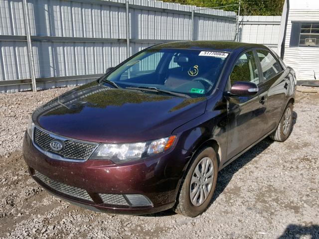 KNAFU4A26A5048416 - 2010 KIA FORTE EX PURPLE photo 2