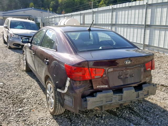 KNAFU4A26A5048416 - 2010 KIA FORTE EX PURPLE photo 3