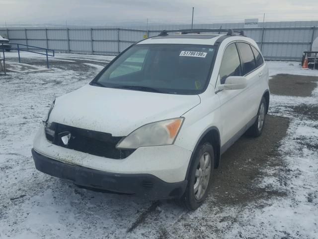 JHLRE48727C042389 - 2007 HONDA CR-V EXL WHITE photo 2