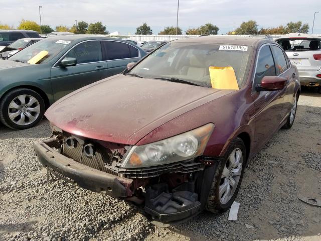 1HGCP2F82AA144860 - 2010 HONDA ACCORD EXL BURGUNDY photo 2