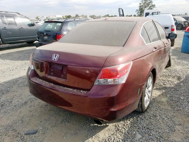 1HGCP2F82AA144860 - 2010 HONDA ACCORD EXL BURGUNDY photo 4