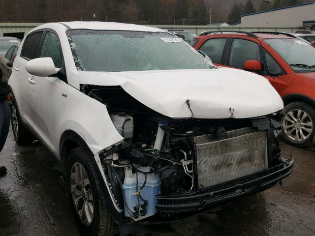 KNDPBCAC2F7781932 - 2015 KIA SPORTAGE L WHITE photo 1