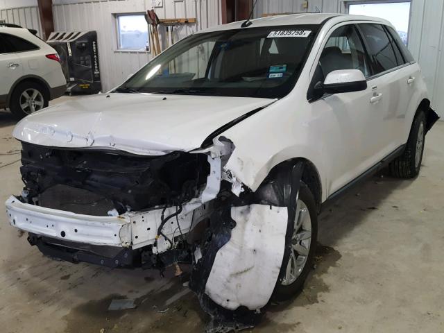 2FMDK4KC1EBA51339 - 2014 FORD EDGE LIMIT WHITE photo 2