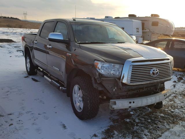 5TFHY5F16AX141673 - 2010 TOYOTA TUNDRA CRE GOLD photo 1