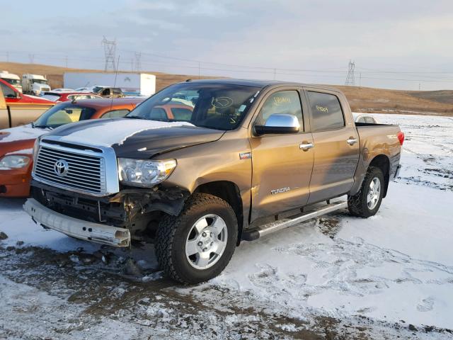 5TFHY5F16AX141673 - 2010 TOYOTA TUNDRA CRE GOLD photo 2