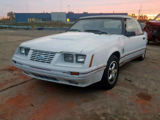 1FABP27W9EF171429 - 1984 FORD MUSTANG GL WHITE photo 2