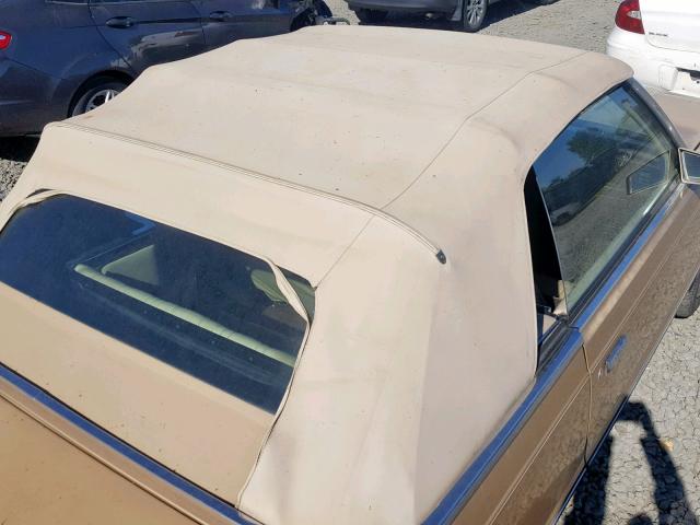 1C3BC55E4EG283927 - 1984 CHRYSLER LEBARON BEIGE photo 9