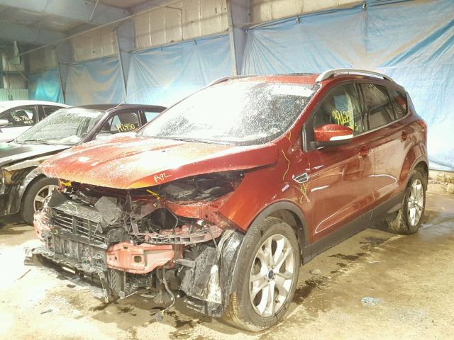 1FMCU0JX7EUE10271 - 2014 FORD ESCAPE TIT ORANGE photo 2