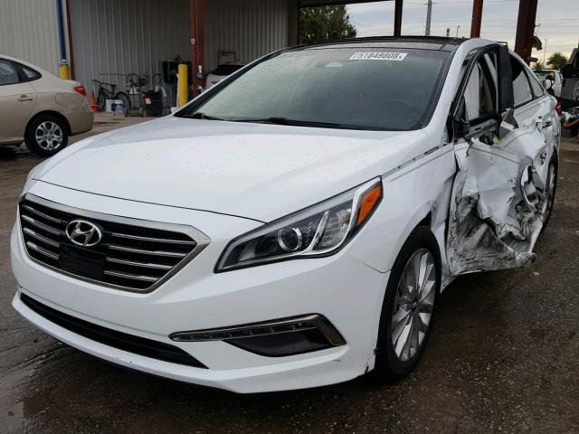 5NPE34AF1FH035682 - 2015 HYUNDAI SONATA SPO WHITE photo 2