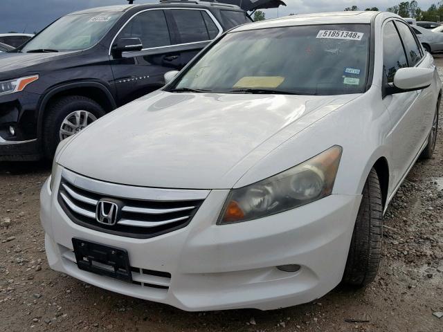 5KBCP3F87BB001014 - 2011 HONDA ACCORD EXL WHITE photo 2