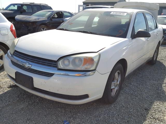 1G1ZT54835F192118 - 2005 CHEVROLET MALIBU LS WHITE photo 2