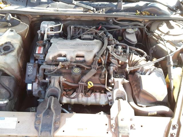 2G1WL52M3W9236339 - 1998 CHEVROLET LUMINA BAS TAN photo 7