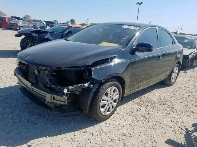 KNAFU4A20D5721589 - 2013 KIA FORTE EX BLACK photo 2