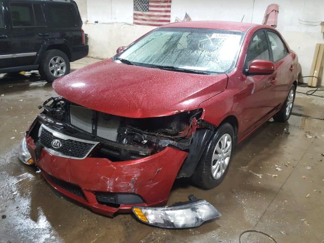 KNAFU4A22C5507640 - 2012 KIA FORTE EX RED photo 2