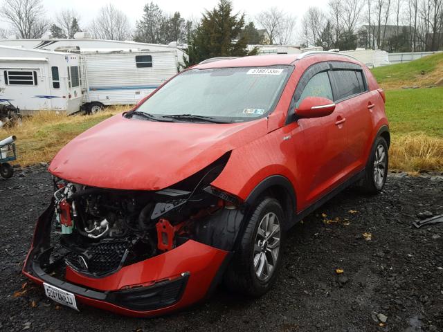 KNDPBCAC4E7658227 - 2014 KIA SPORTAGE L RED photo 2