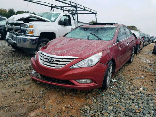 5NPEC4AB3DH774482 - 2013 HYUNDAI SONATA SE RED photo 2