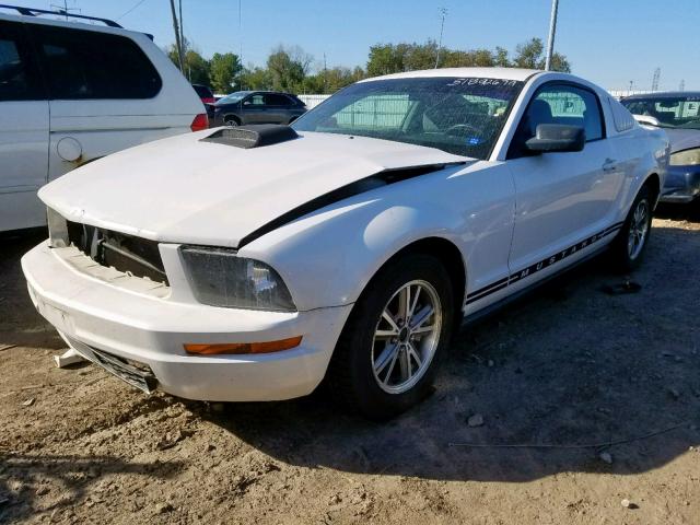 1ZVFT80N255104055 - 2005 FORD MUSTANG WHITE photo 2