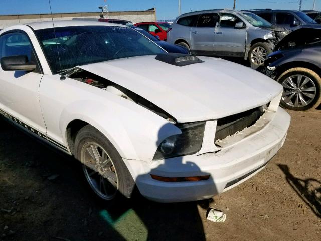 1ZVFT80N255104055 - 2005 FORD MUSTANG WHITE photo 9