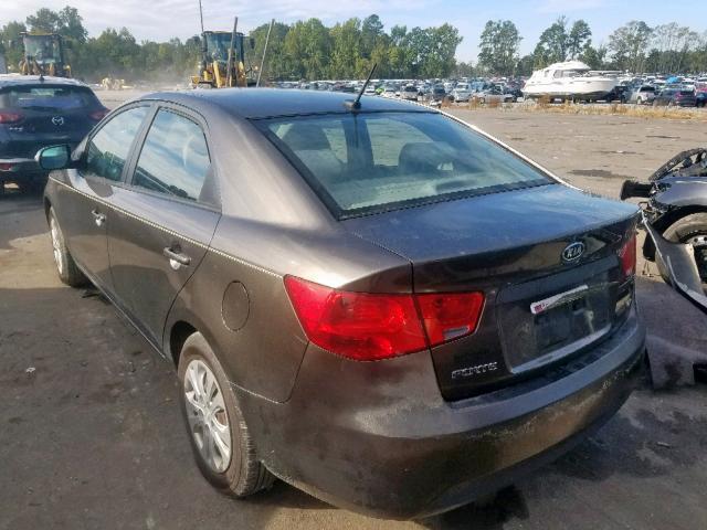 KNAFU4A29A5839524 - 2010 KIA FORTE EX BROWN photo 3