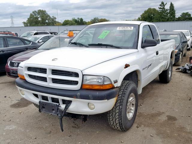 1B7GG22N9YS567919 - 2000 DODGE DAKOTA WHITE photo 2