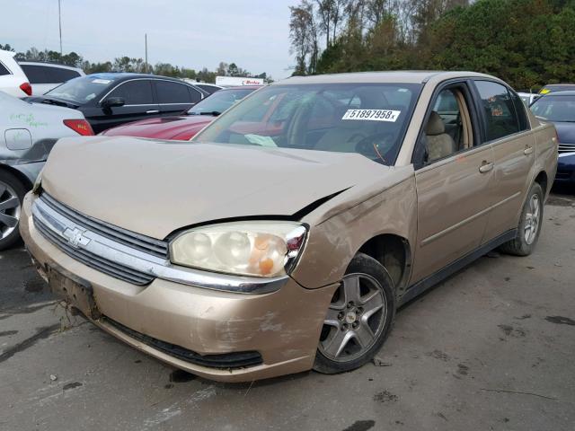 1G1ZT54845F109716 - 2005 CHEVROLET MALIBU LS 金色 照片 2