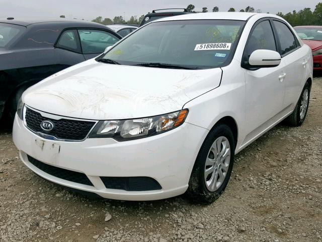 KNAFU4A28D5726944 - 2013 KIA FORTE EX WHITE photo 2