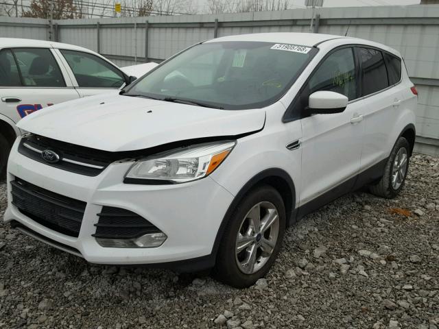 1FMCU0G97EUD45575 - 2014 FORD ESCAPE SE WHITE photo 2