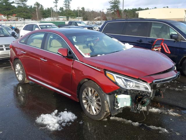 5NPE34AF2FH009317 - 2015 HYUNDAI SONATA SPO MAROON photo 1