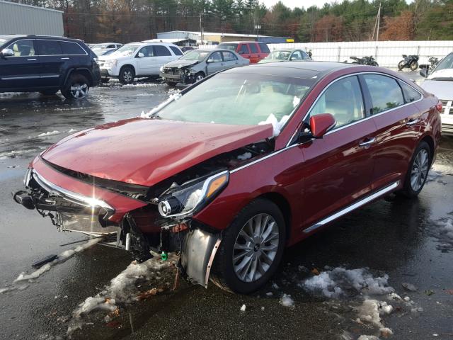 5NPE34AF2FH009317 - 2015 HYUNDAI SONATA SPO MAROON photo 2