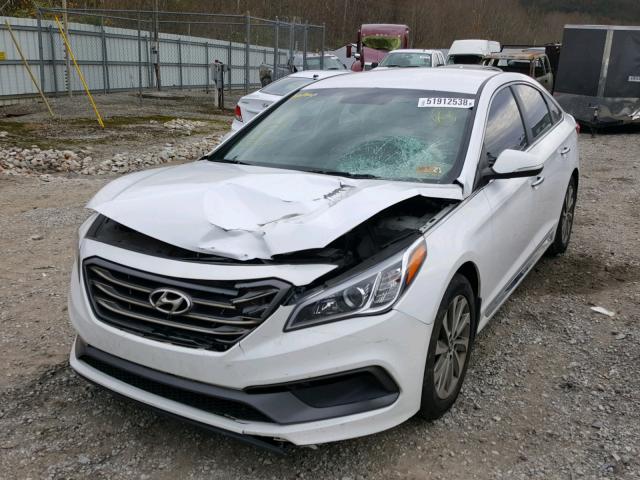 5NPE34AF4FH118894 - 2015 HYUNDAI SONATA SPO WHITE photo 2