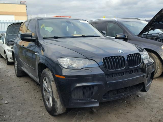 5YMGY0C57ALK25490 - 2010 BMW X5 M BLACK photo 1