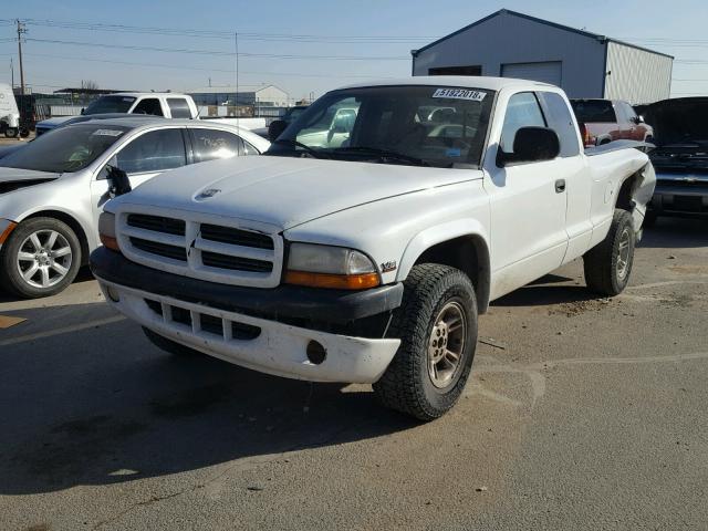 1B7GG22N2YS645702 - 2000 DODGE DAKOTA WHITE photo 2