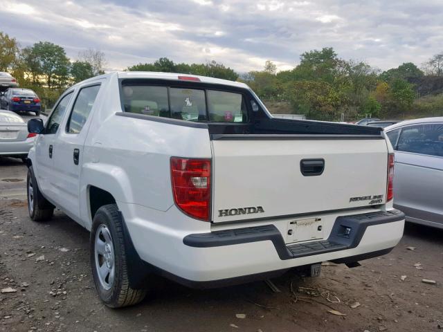 5FPYK16249B102676 - 2009 HONDA RIDGELINE WHITE photo 3