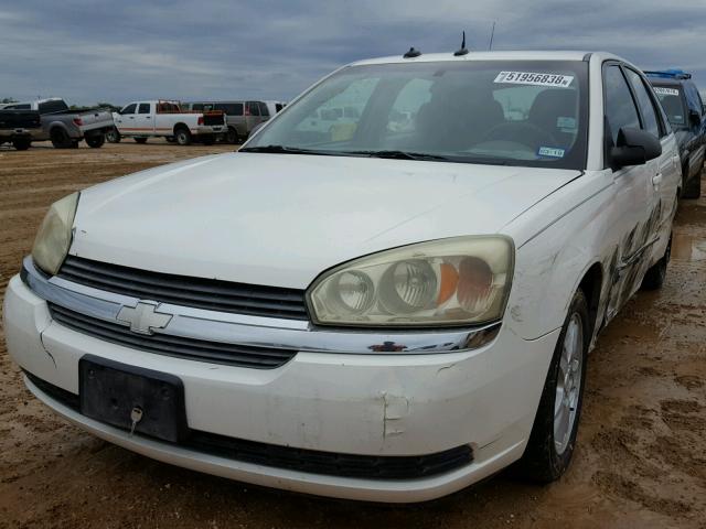 1G1ZT64834F187375 - 2004 CHEVROLET MALIBU MAX თეთრი ფოტო 2