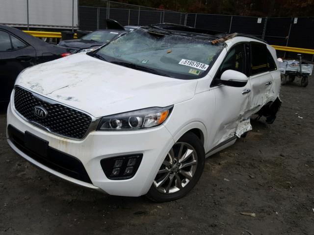 5XYPK4A51GG075451 - 2016 KIA SORENTO SX WHITE photo 2