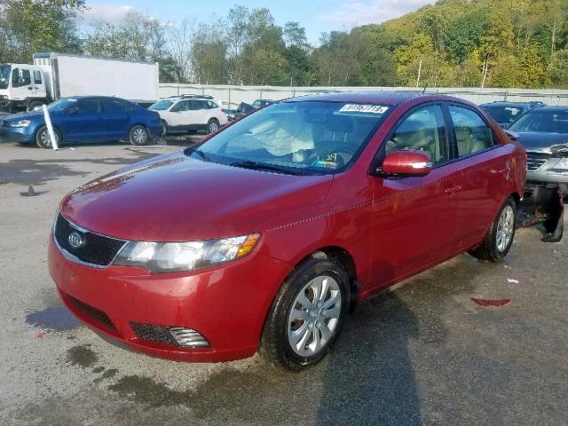 KNAFU4A25A5145042 - 2010 KIA FORTE EX RED photo 2