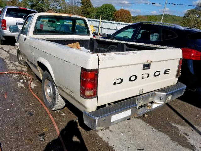 1B7FN14M9HS363122 - 1987 DODGE DAKOTA WHITE photo 3