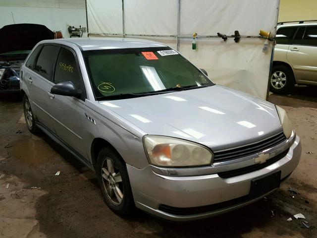 1G1ZT62844F181653 - 2004 CHEVROLET MALIBU MAX Plata foto 1