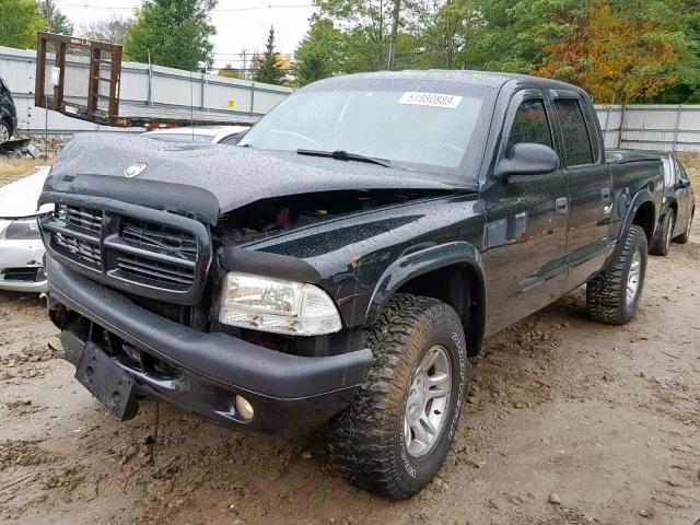 1D7HG38X33S333924 - 2003 DODGE DAKOTA QUA BLACK photo 2