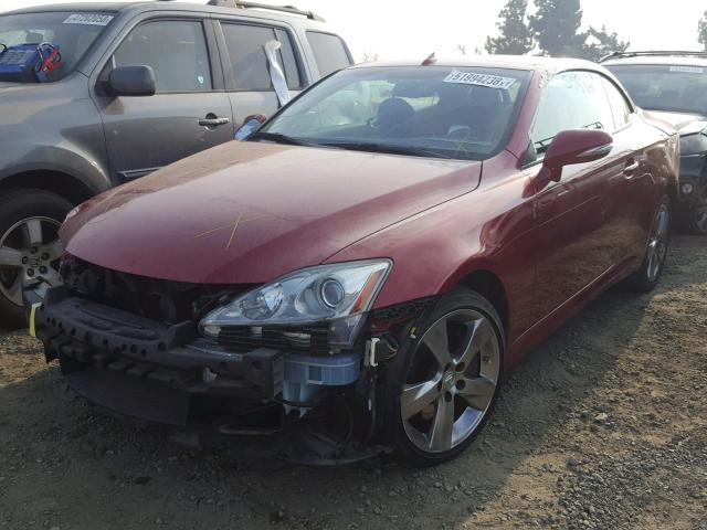 JTHFE2C29A2504233 - 2010 LEXUS IS 350 RED photo 2